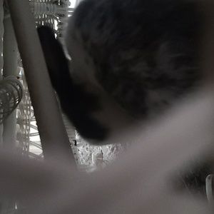 Meet your Posher, Ma